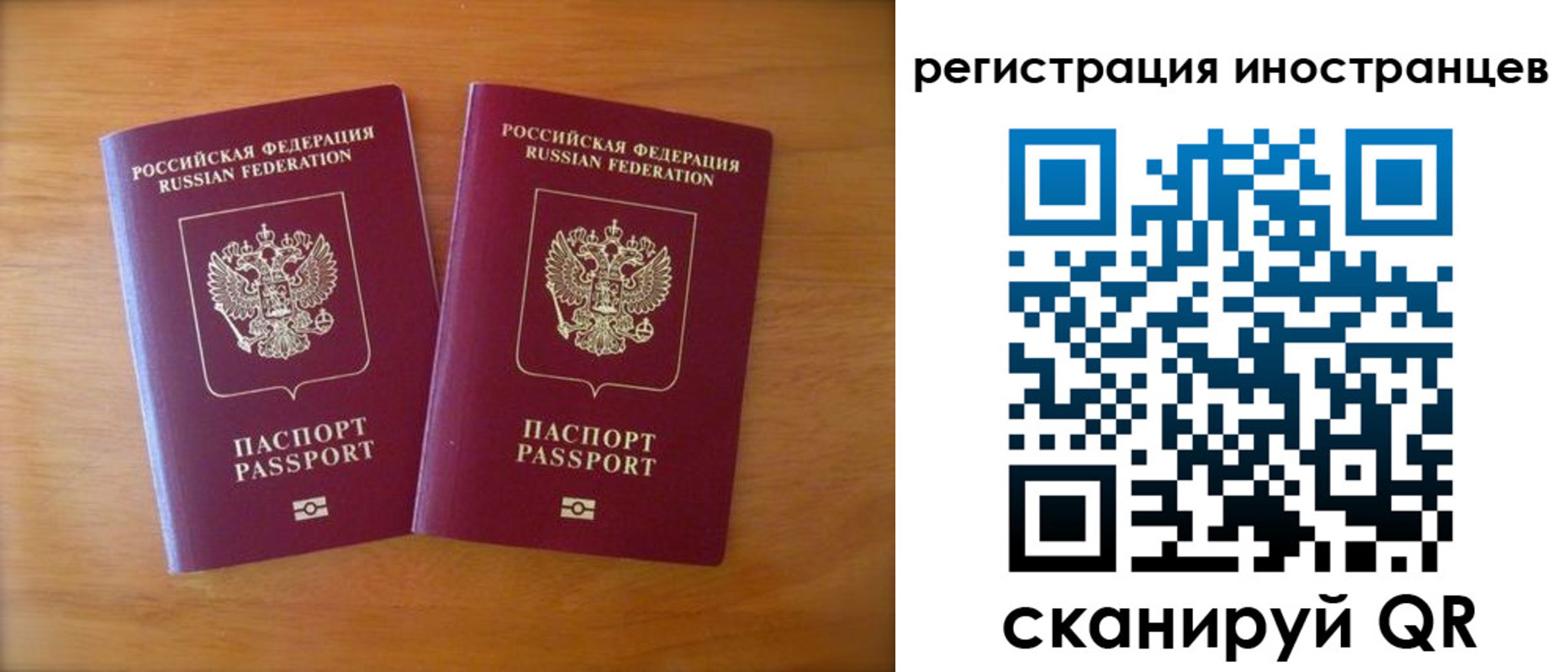 прописка поиск в Кольчугино